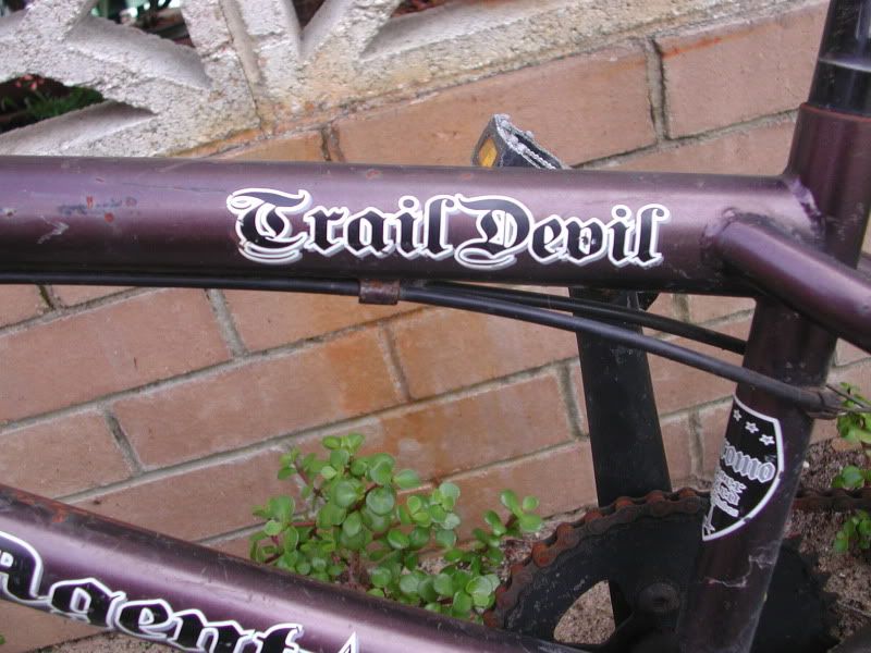 freeagent trailduster