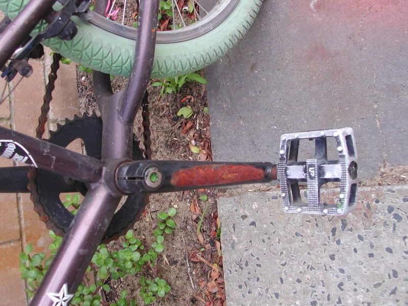 freeagent trailduster