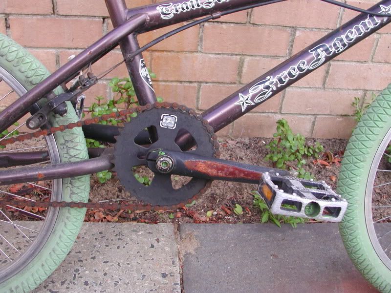 freeagent trailduster