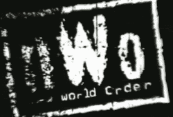 nWo Logo