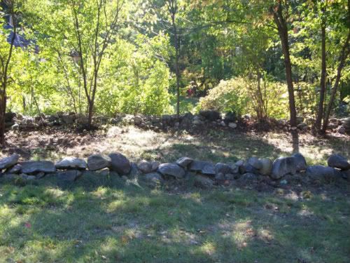 Here is the area we cleared to put the A-frame and chicken yard.