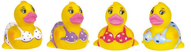 rubber duck Pictures, Images and Photos