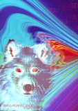 VISUAL CHAOS