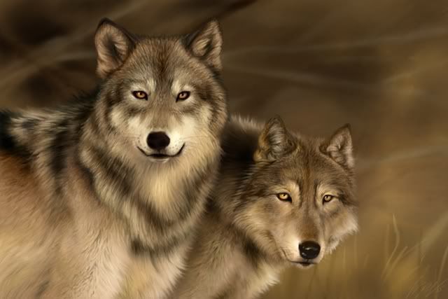 wolves photo: WOLVES WOLVES.jpg