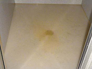 An inch of backed up wastewater in the shower floor