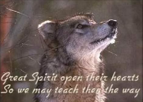 wolfprayer-1.jpg Wolf Prayer II image by kc9718