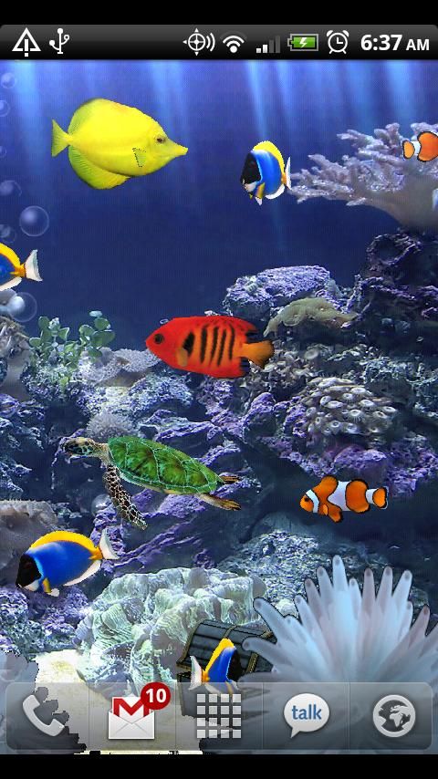 fish tank wallpaper. Aquarium Donation Live