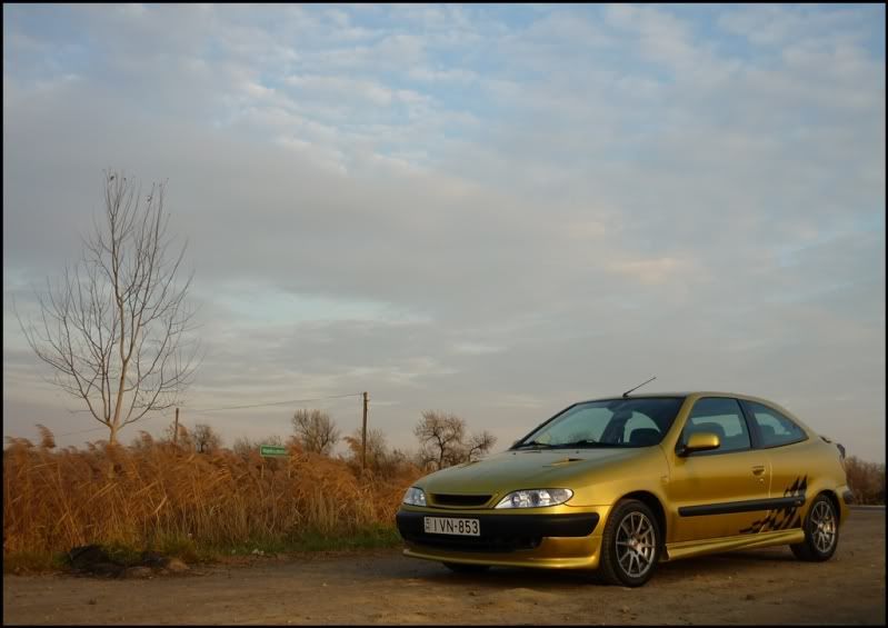 Testor VTS - Citroen Xsara VTS 1998'