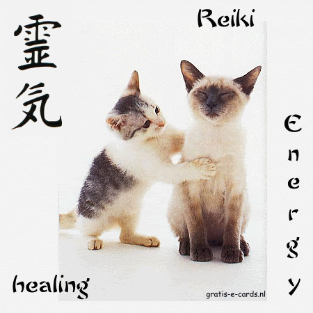 Reiki Cats Pictures, Images and Photos