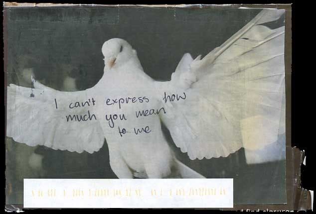 The Affective Fallacy Wimsatt And Beardsley Pdf Reader