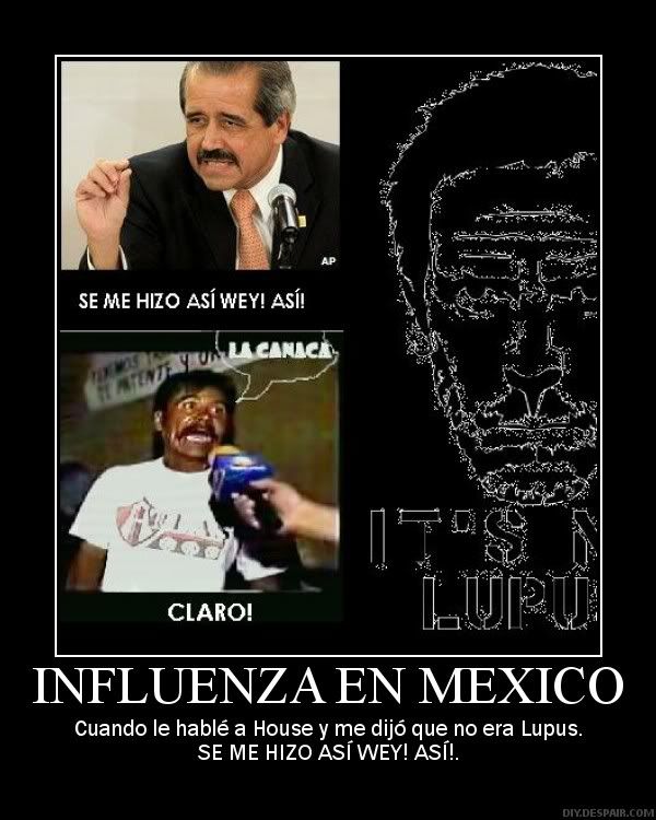 demoinfluenzamexico.jpg