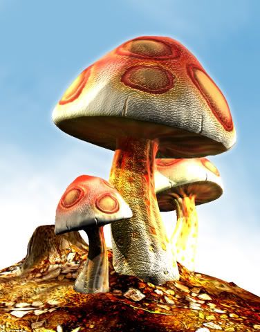 Mushroom2.jpg