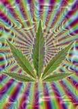 thmarijuana.jpg