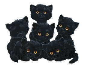 Zwarte katjes photo 102uki1.gif