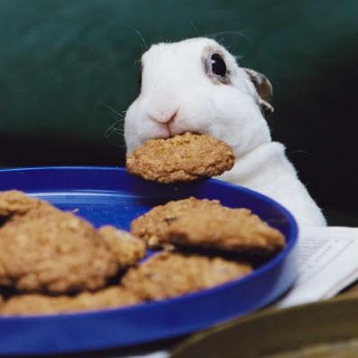 cookie-bunny.jpg