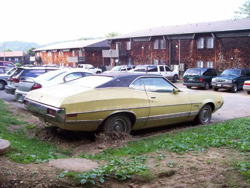 100_2666.jpg?t=1294069334