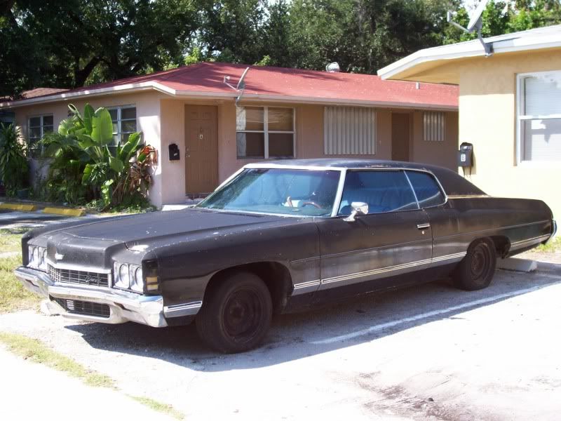 100_2872.jpg?t=1292286576