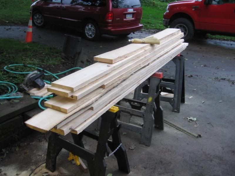 Shagbark Hickory Tree Woodworking Talk