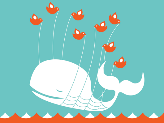 fail whale Pictures, Images and Photos