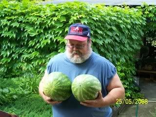 melons photo: CHECK OUT THESE MELONS 100_3164.jpg