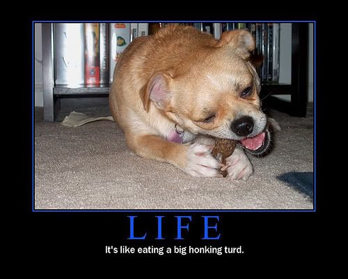 life, like eating a big turd