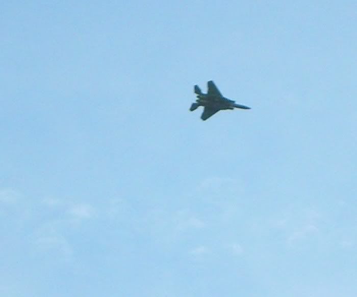 F-15 Over Pond.