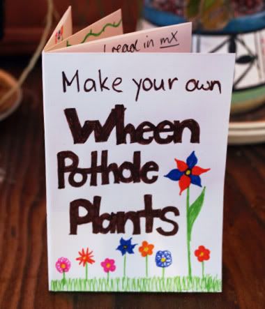 Make your own Wheen pothole plants