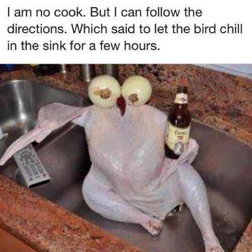 Chill-the-Chicken