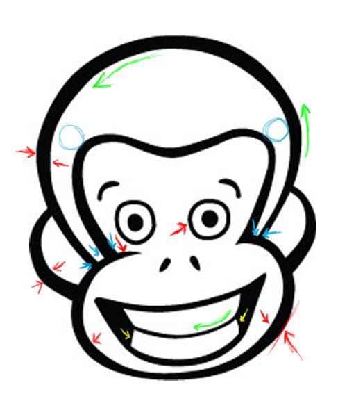 monkey_analysis.jpg