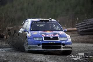 11FabiaWRC.jpg