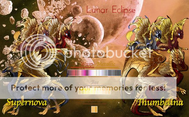 LunarEclipseCard.jpg