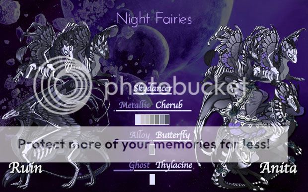 NightFairiesCard.jpg