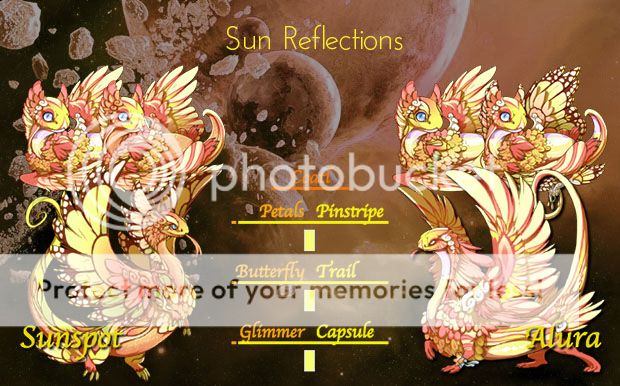 SunReflectionsCard.jpg