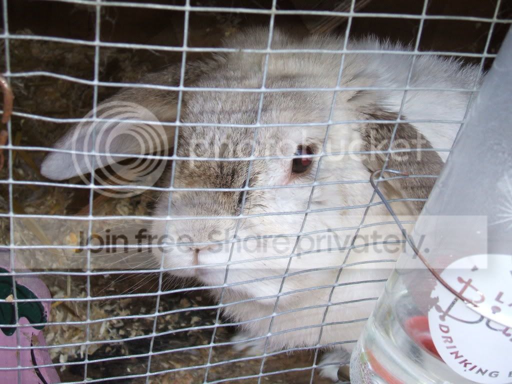 Picture004.jpg