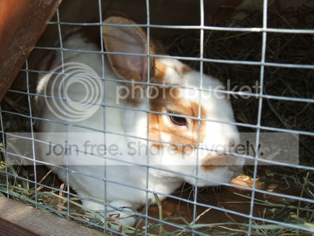 Picture005.jpg