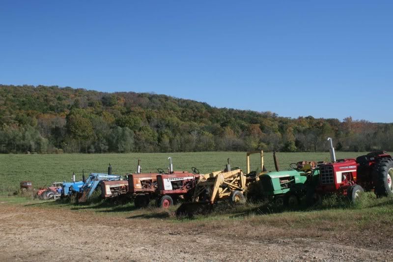 Fall-colors-015.jpg